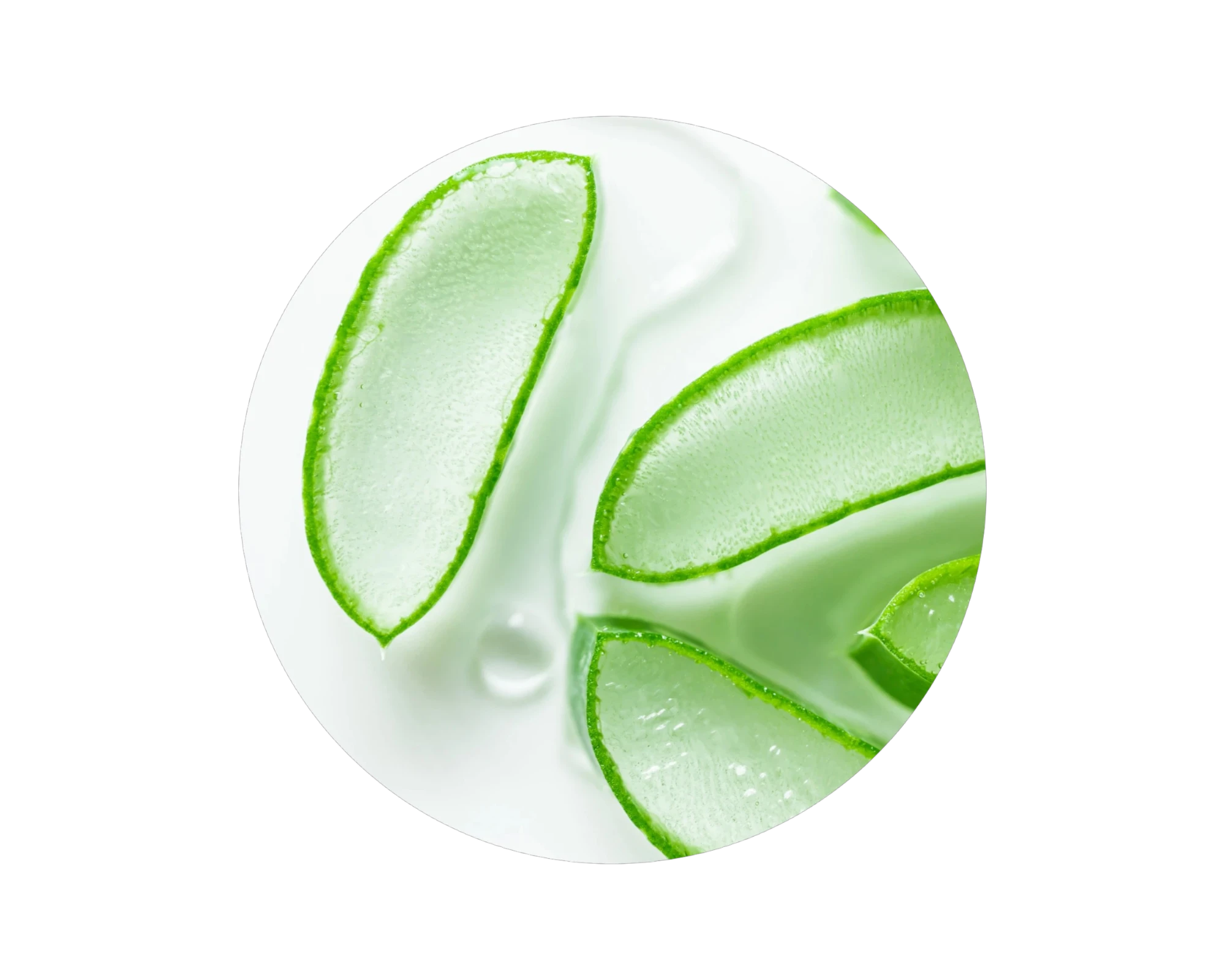 tranche aloe vera, naturel, cosmétique